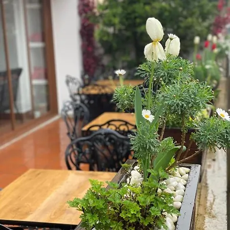 Blue Sea Готель 2*