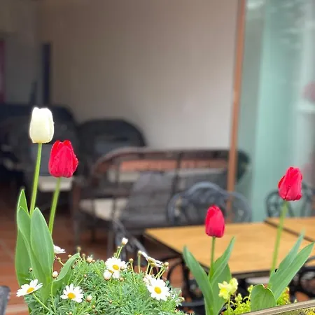 Blue Sea 트라존