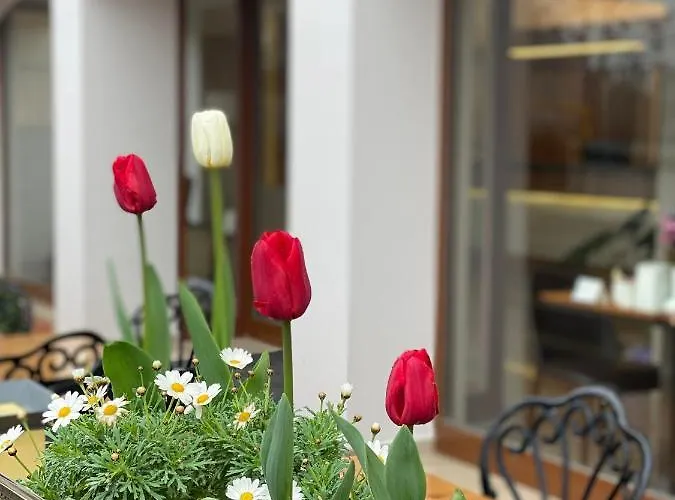 بلو سي ترابزون