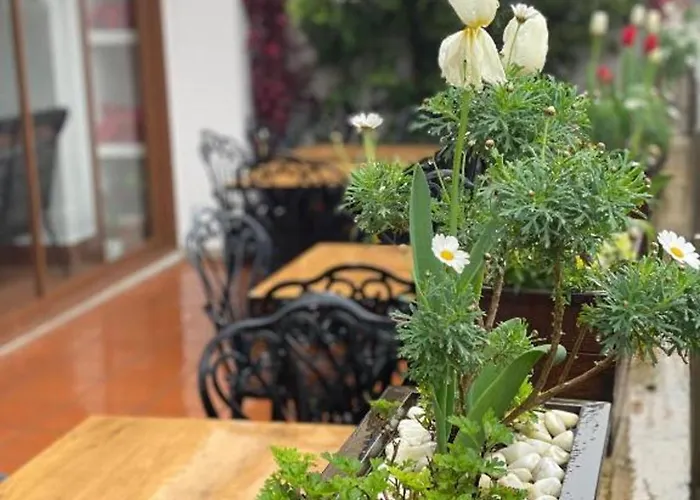 بلو سي فندق 2*